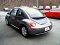 Platinum Grey - New Beetle 2.5 Coupe Photo No. 5