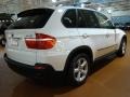 Alpine White - X5 3.0si Photo No. 5