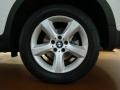 Alpine White - X5 3.0si Photo No. 6
