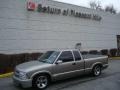 Light Pewter Metallic - S10 LS Extended Cab Photo No. 1