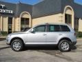 Reflex Silver Metallic - Touareg 2 VR6 Photo No. 4