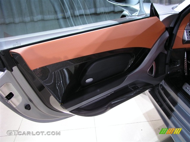 2004 Porsche Carrera GT Standard Carrera GT Model Door Panel Photos