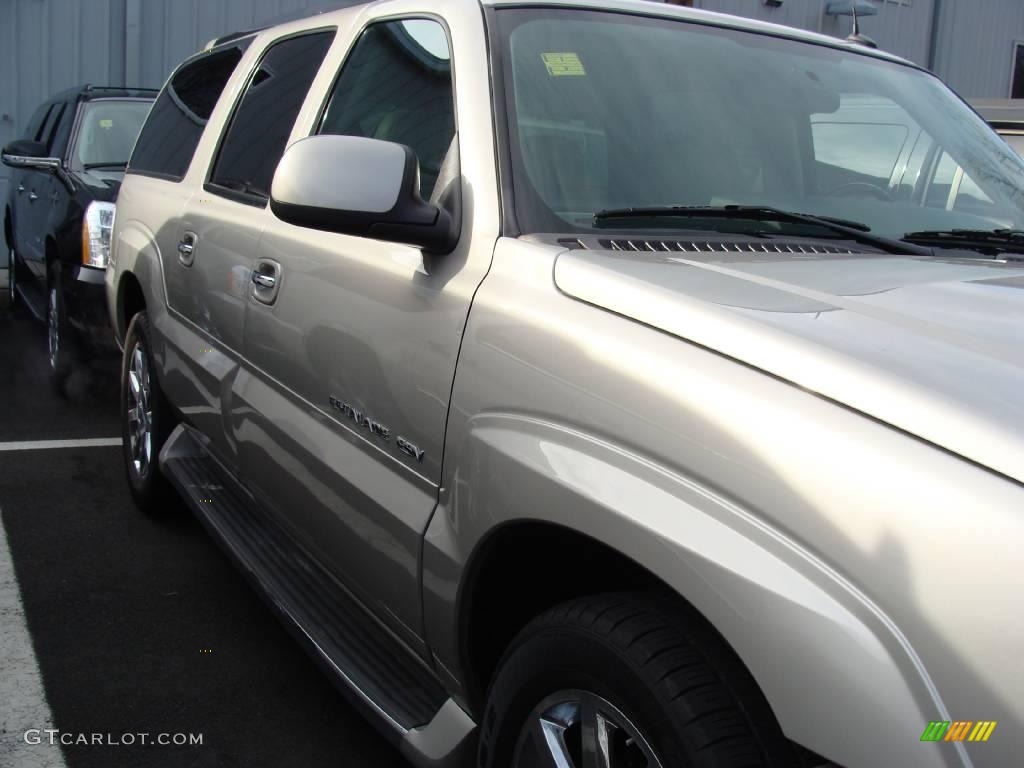 2004 Escalade ESV AWD - White Diamond / Shale photo #4