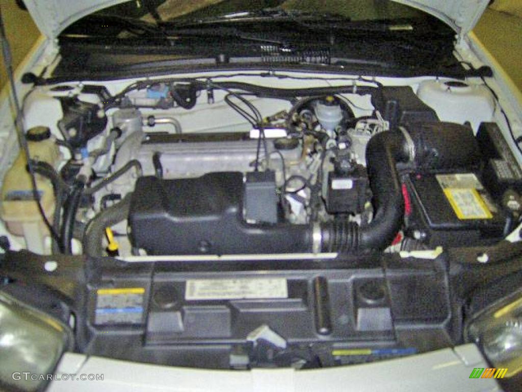 2004 Cavalier LS Sedan - Summit White / Graphite photo #9