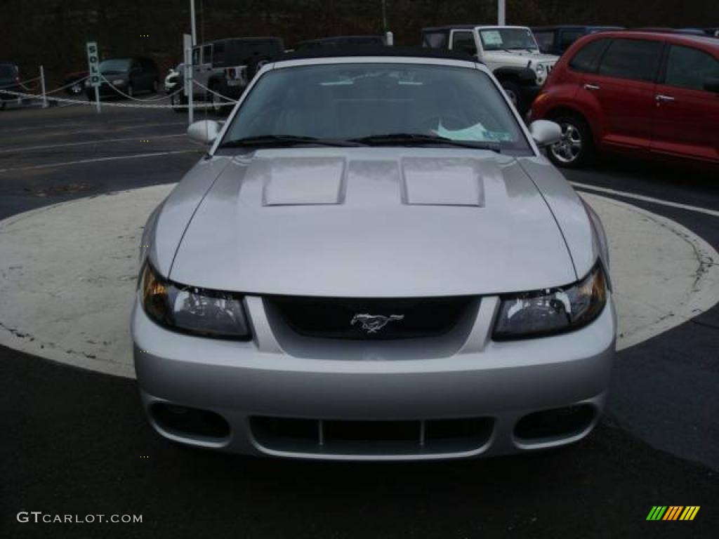 2003 Mustang Cobra Convertible - Silver Metallic / Dark Charcoal photo #7