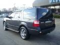 Carbon Metallic - Expedition Limited 4x4 Photo No. 2