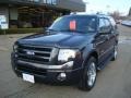 Carbon Metallic - Expedition Limited 4x4 Photo No. 12