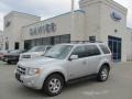 2008 Silver Metallic Ford Escape Limited 4WD  photo #1