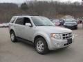 2008 Silver Metallic Ford Escape Limited 4WD  photo #5