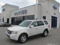 2010 White Suede Ford Escape Hybrid Limited 4WD  photo #1