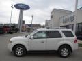 2010 White Suede Ford Escape Hybrid Limited 4WD  photo #2