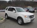 2010 White Suede Ford Escape Hybrid Limited 4WD  photo #5