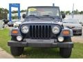 Patriot Blue - Wrangler Sport 4x4 Photo No. 8