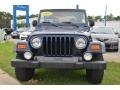 2003 Patriot Blue Jeep Wrangler Sport 4x4  photo #8