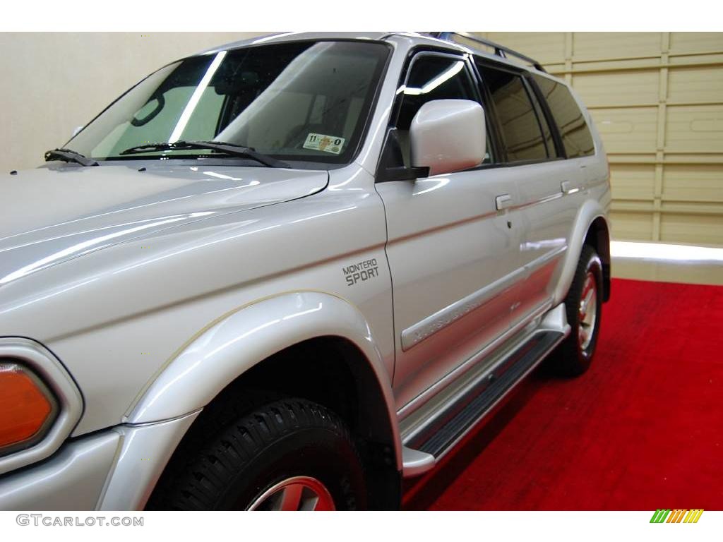 2003 Montero Sport Limited - Summit White / Gray photo #12