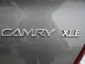 Phantom Gray Pearl - Camry XLE Photo No. 9