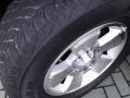 Titanium Metallic - 4Runner SR5 Photo No. 29
