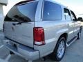 Quicksilver - Escalade AWD Photo No. 3