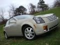 Gold Mist - CTS Sedan Photo No. 1