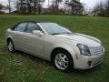 Gold Mist - CTS Sedan Photo No. 2