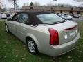 Gold Mist - CTS Sedan Photo No. 9