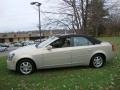 Gold Mist - CTS Sedan Photo No. 10