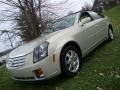 Gold Mist - CTS Sedan Photo No. 32