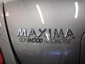 Precision Gray Metallic - Maxima 3.5 SL Photo No. 6