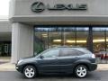Flint Gray Mica - RX 350 AWD Photo No. 2