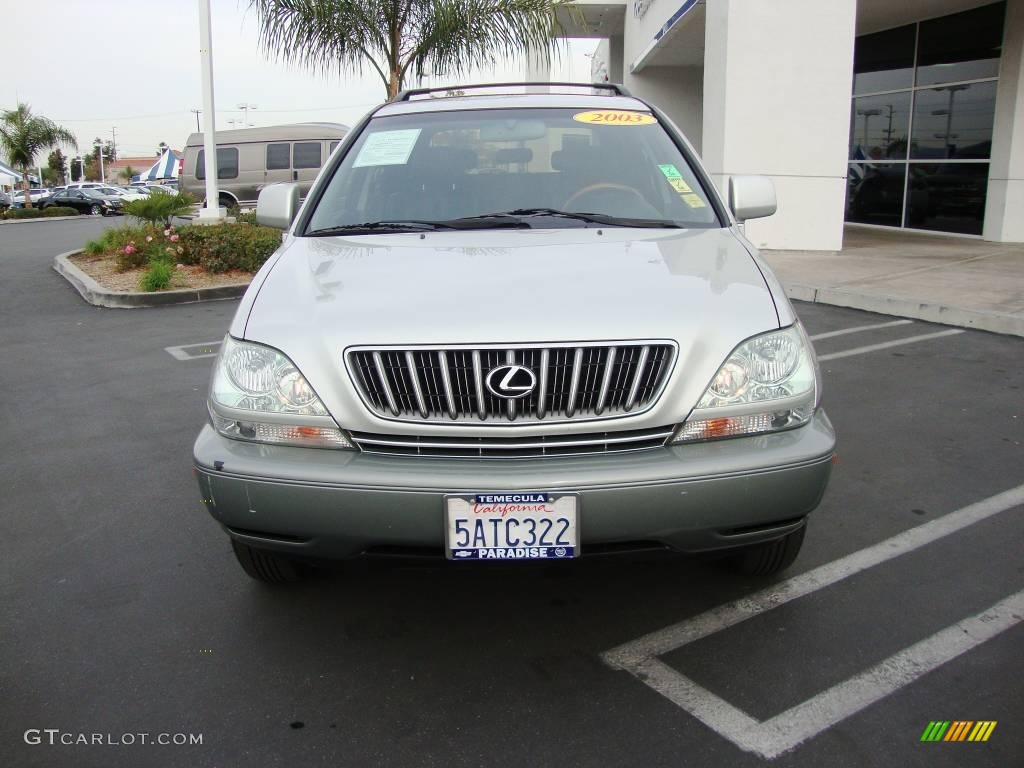 2003 RX 300 - Millenium Silver Metallic / Black photo #3
