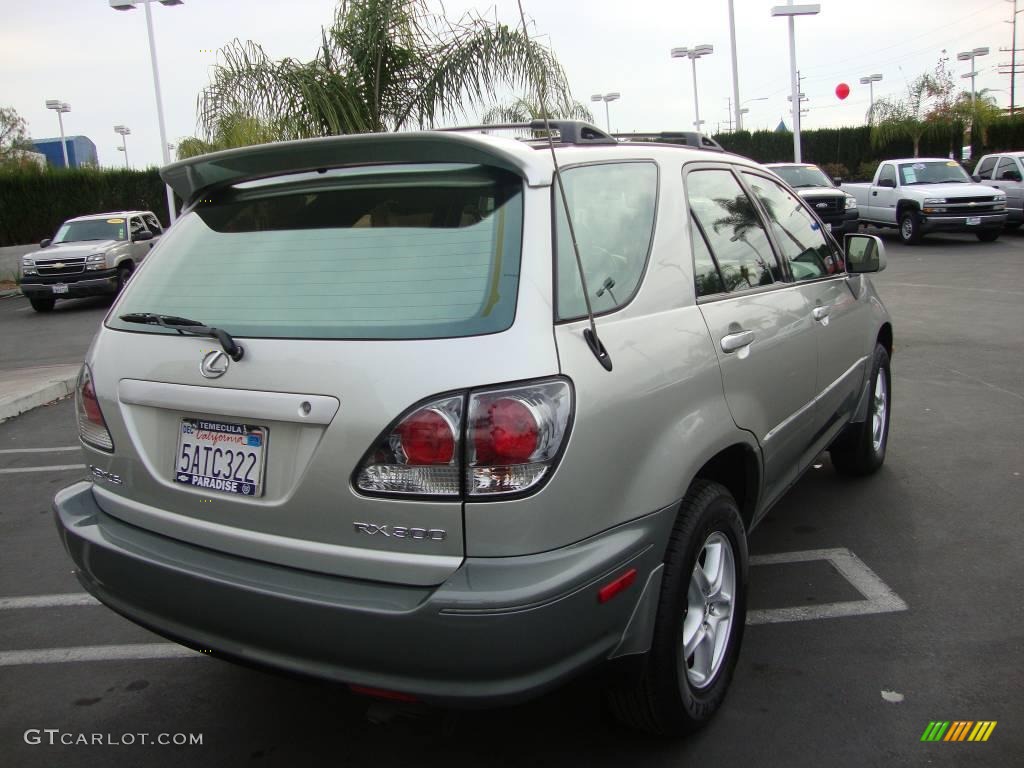 2003 RX 300 - Millenium Silver Metallic / Black photo #6