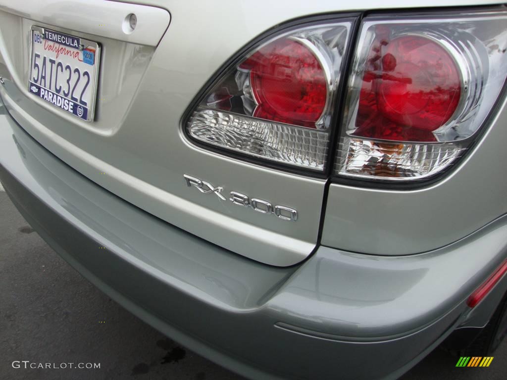 2003 RX 300 - Millenium Silver Metallic / Black photo #13