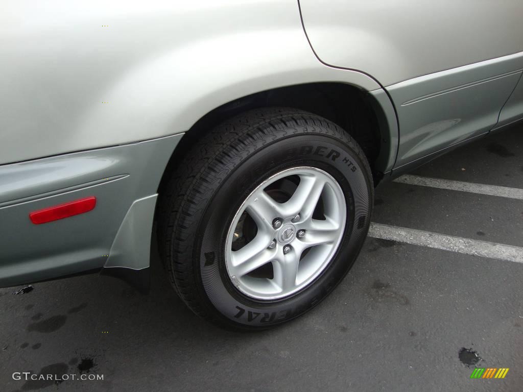 2003 RX 300 - Millenium Silver Metallic / Black photo #29