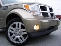 Light Khaki Metallic - Nitro SLT 4x4 Photo No. 2