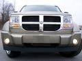 Light Khaki Metallic - Nitro SLT 4x4 Photo No. 3