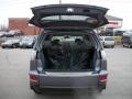 Graphite Gray Pearl - Outlander ES Photo No. 13