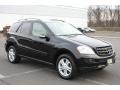 Black - ML 350 4Matic Photo No. 1