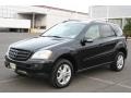 Black - ML 350 4Matic Photo No. 3