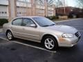 2000 Sunlit Sand Metallic Nissan Maxima GLE  photo #8