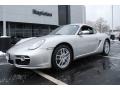 Arctic Silver Metallic - Cayman  Photo No. 1