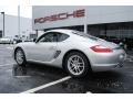Arctic Silver Metallic - Cayman  Photo No. 7