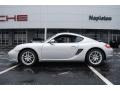 Arctic Silver Metallic - Cayman  Photo No. 8