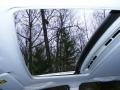 Silver Metallic - S40 1.9T Photo No. 28