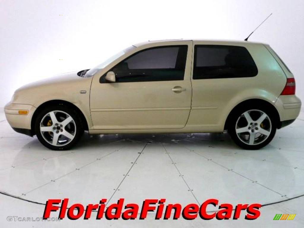 2001 GTI GLS - Storm Beige Metallic / Black photo #3