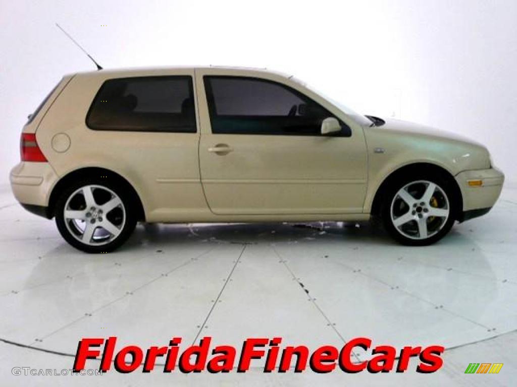 2001 GTI GLS - Storm Beige Metallic / Black photo #4