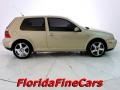 Storm Beige Metallic - GTI GLS Photo No. 4