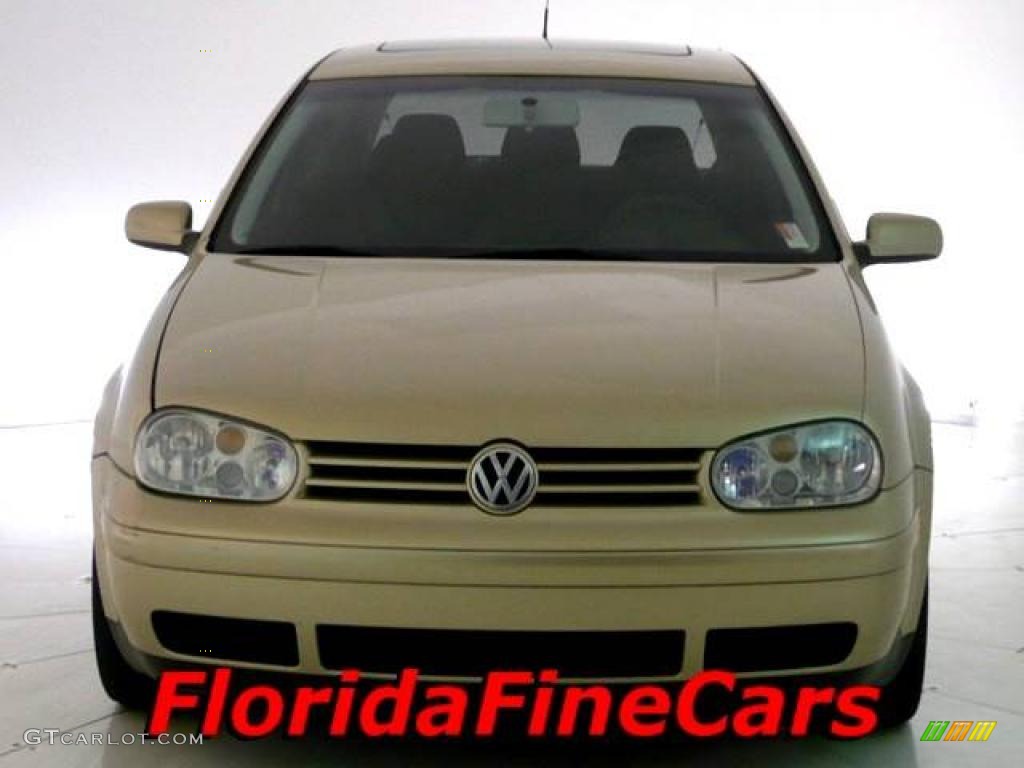 2001 GTI GLS - Storm Beige Metallic / Black photo #5