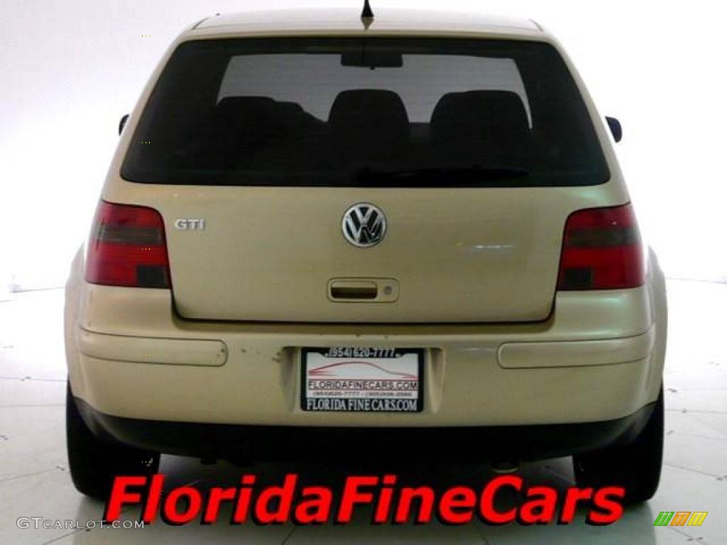 2001 GTI GLS - Storm Beige Metallic / Black photo #6