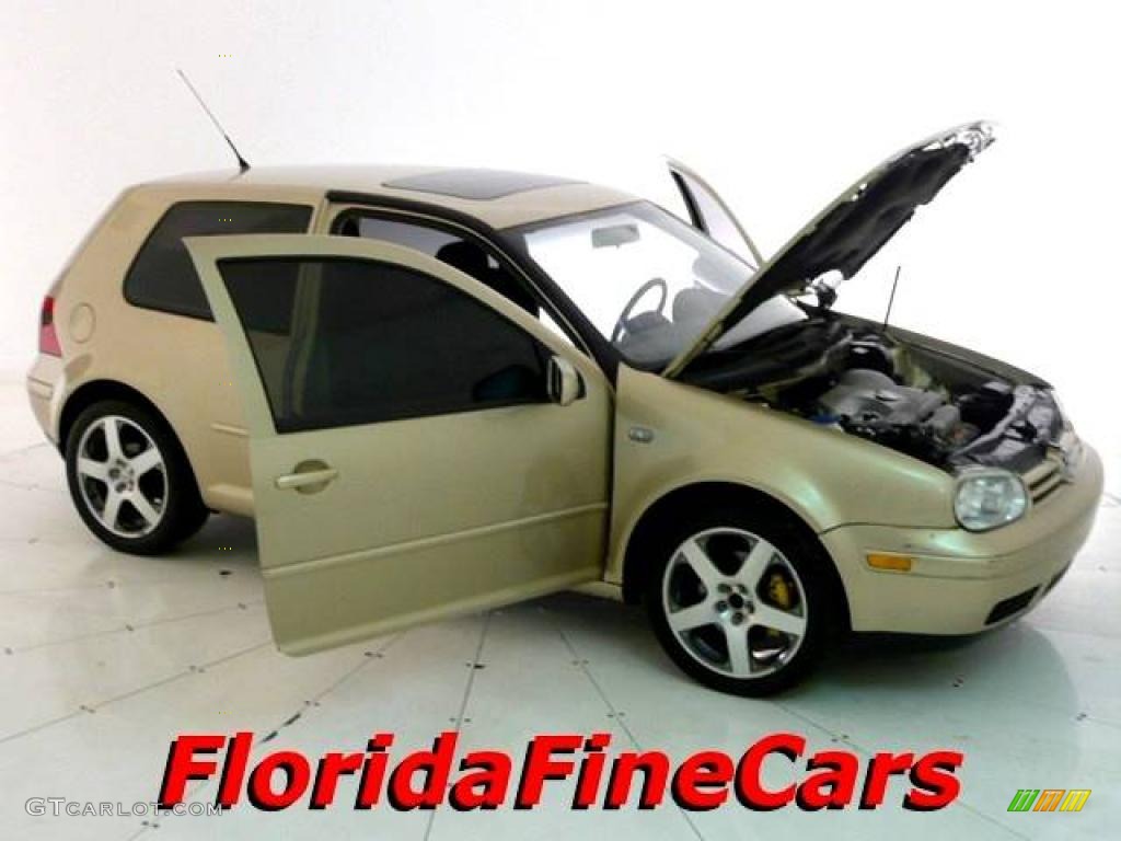 2001 GTI GLS - Storm Beige Metallic / Black photo #7