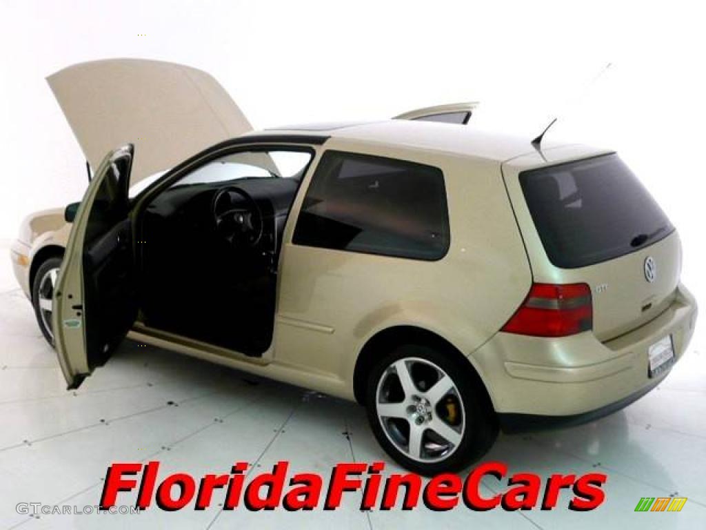 2001 GTI GLS - Storm Beige Metallic / Black photo #8